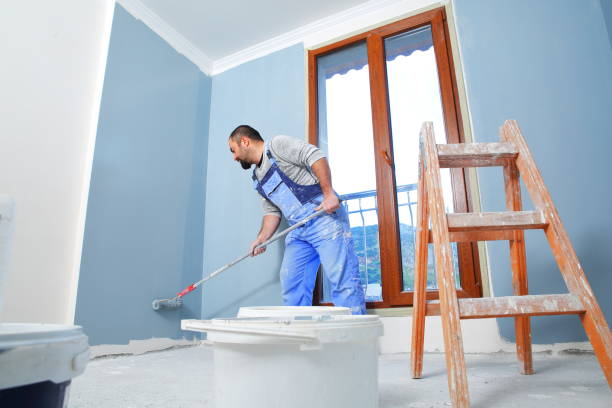  Greenville, NY Mold Removal Pros