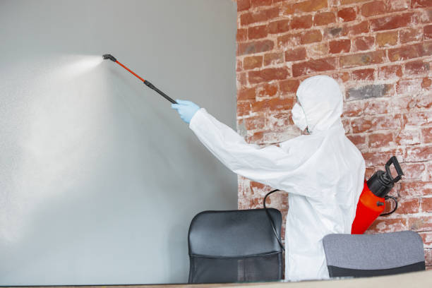 Reliable Greenville, NY Mold Removal Solutions