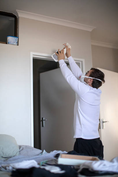 Best Forensic Mold Investigation  in Greenville, NY