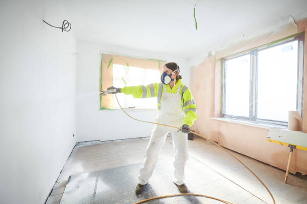 Best Emergency Mold Remediation  in Greenville, NY