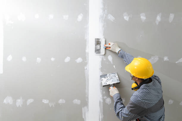 Best Mold-Related Health Consultation  in Greenville, NY