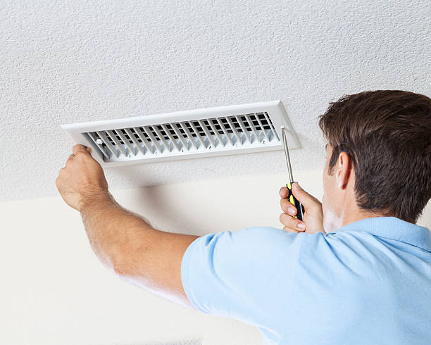Best Crawl Space Mold Remediation  in Greenville, NY