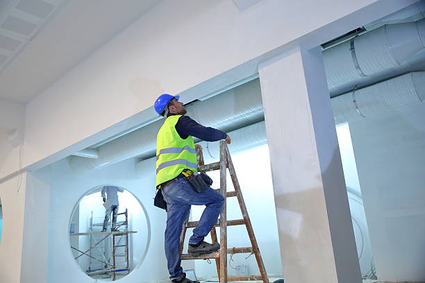 Best Mold Remediation for Healthcare Facilities  in Greenville, NY