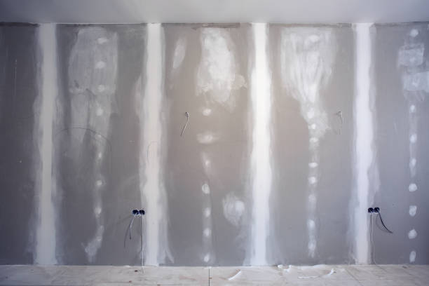 Best Industrial Mold Remediation  in Greenville, NY