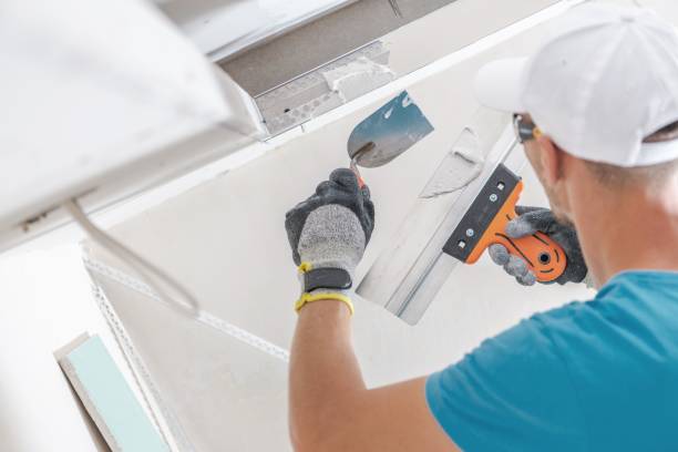 Best Residential Mold Inspection & Testing  in Greenville, NY